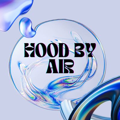 Hood By Air