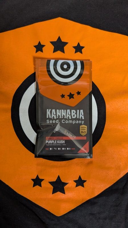 Purple Kush 3+1 Feminiesiert inkl. 2 Free Seeds