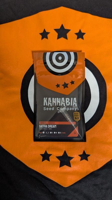 Sativa Dream 3+1 Feminisiert inkl. 2 Free Seeds
