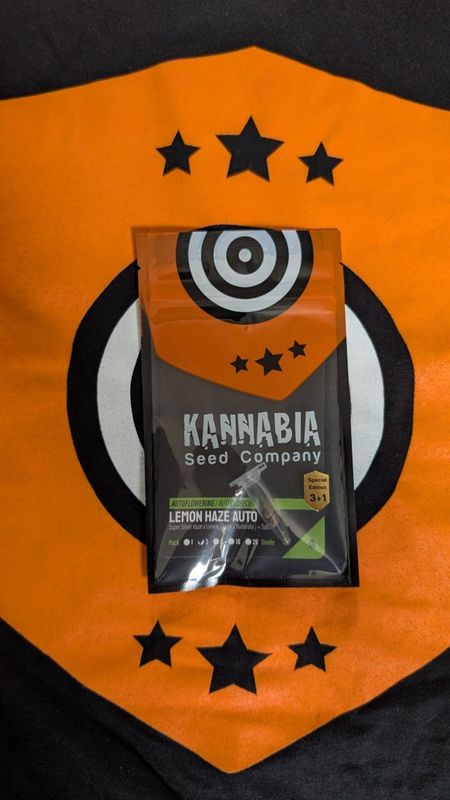 Lemon Haze Auto 3+1 inkl. 2 Free Seeds