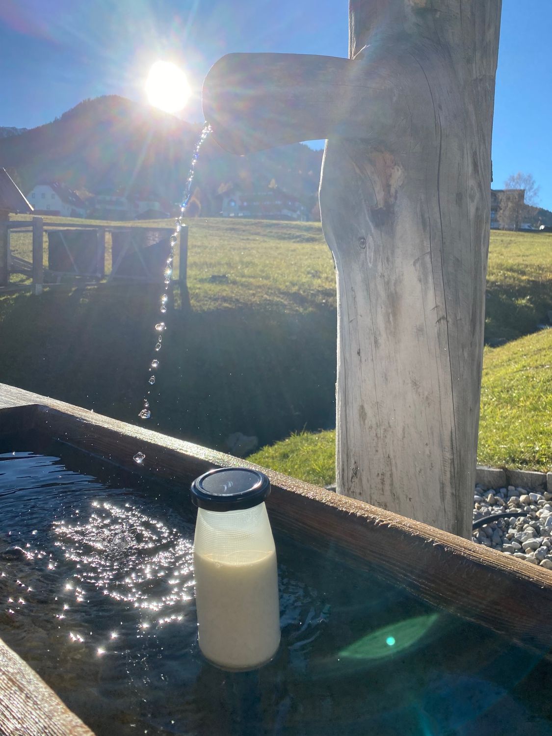 Bio-Vollmilch