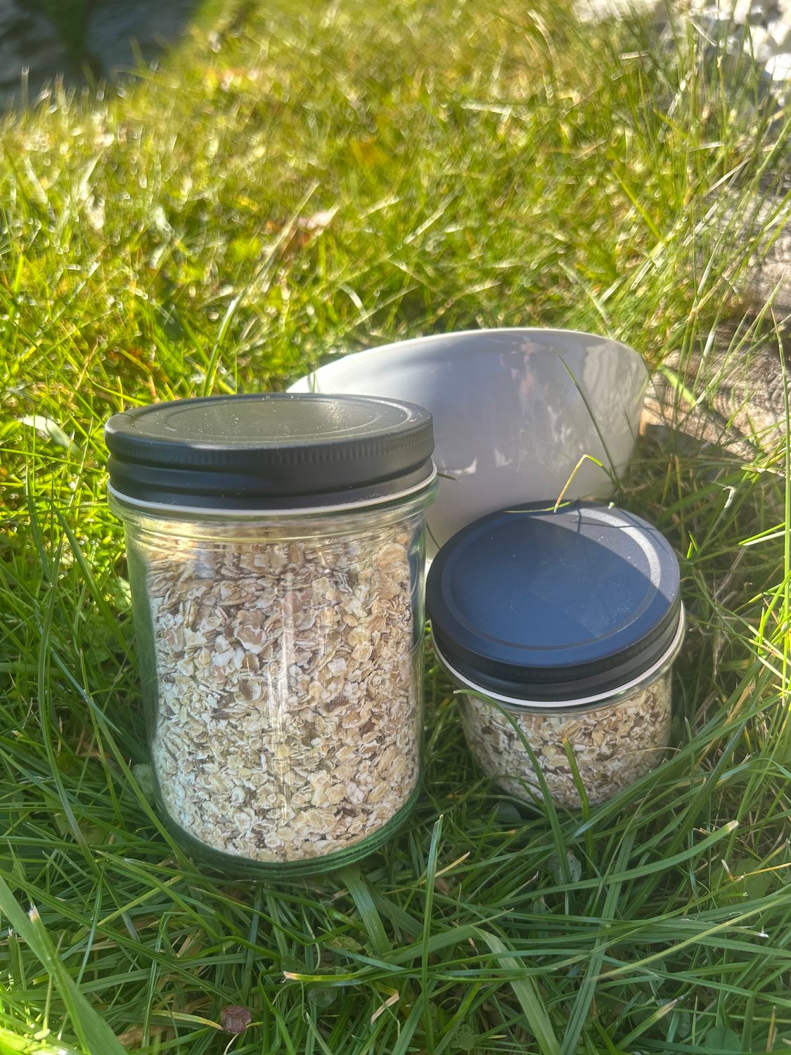 Bio Basis Müsli