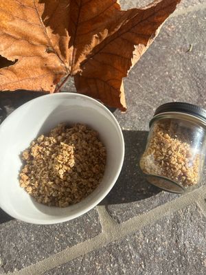Bio Nuss Crunchy hausgemacht