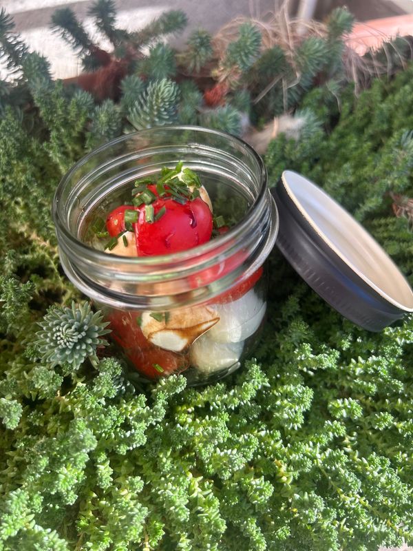 Bio Tomate-Mozarella im Glas - hausgemacht
