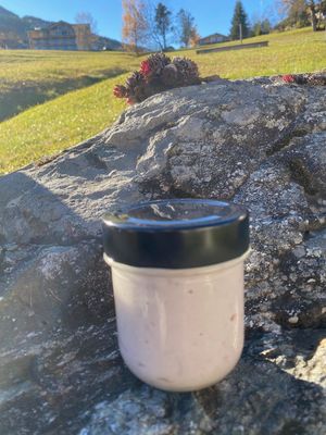 Bio Joghurt Erdbeere