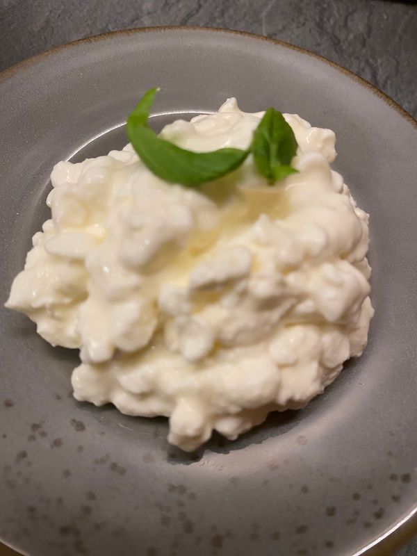 Bio-Cottage Cheese