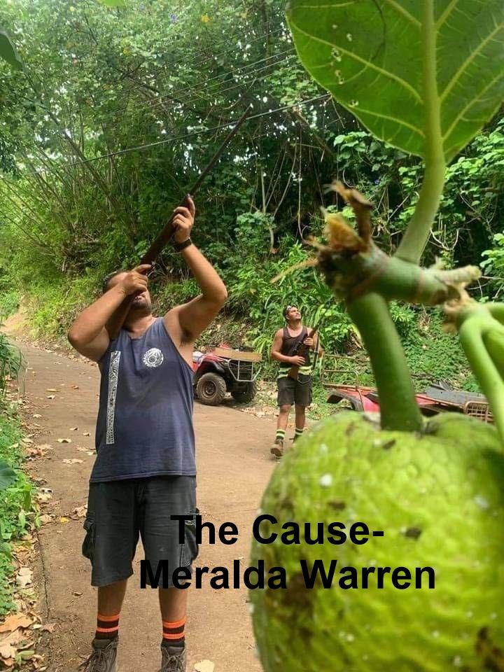 Music The Cause by Meralda Warren-Digital download