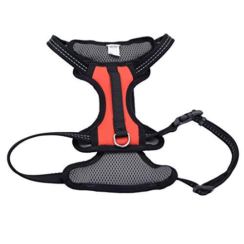 Coastal - Reflective Control Handle Harness, Red, Girth: 16"-24" X Neck: 10"-14"