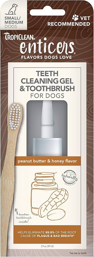 ENT CLEAN TEETH GEL KIT PB &amp; HONEY SM ENPHCLKT2Z-SM TROPI 12/cs