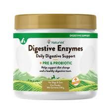 DIGESTIVE ENZYMES + PROBIOTICS
