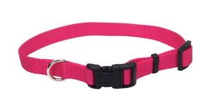 COLLAR NYLON ADJ 5/8" NEON PINK 6401 SMALL 10"-14" COA