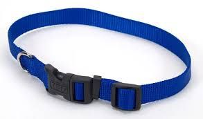 COLLAR NYLON ADJ 3/4" BLUE 6601 MED 14-20" COA