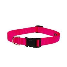 COLLAR NYLON ADJ 3/8" NEON P 6301 XSMALL 8"-12" COA