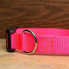 COLLAR NYLON ADJ 1" NEON PINK 6901 LARGE 18-26" COA