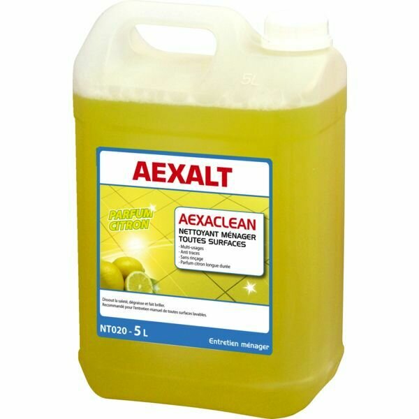NETTOYANT TOUTES SURFACES - BIDON DE 5L