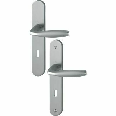 Poignée de porte