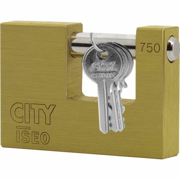 CADENAS RECTANGULAIRE ADITUS VARIÉ - 90X60MM