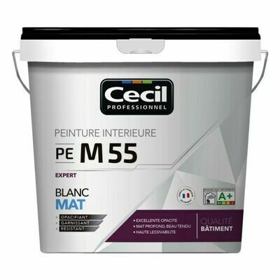 Peinture murale