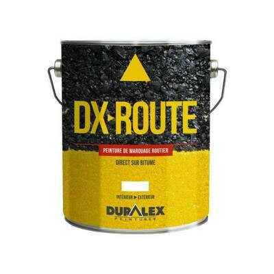 PEINTURE DE MARQUAGE ROUTIER DX JAUNE 1023 (3L)