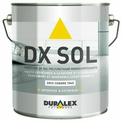 PEINTURE DX SOL (15L)