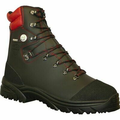 PAIRE DE CHAUSSURES TILLIA