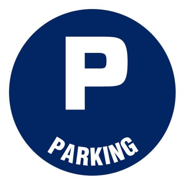 DISQUE 300MM - PARKING