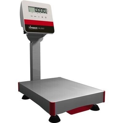 BALANCE SUR COLONNE - 30 KG