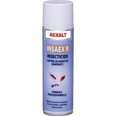 INSECTICIDE RAMPANTS - 650ML