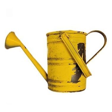 Watering Can