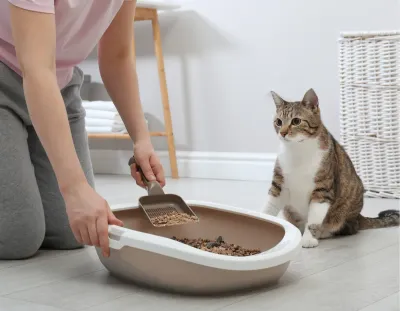 Sanitario De Madera Para Gato Frontier Tipo Pellets 15 Kg