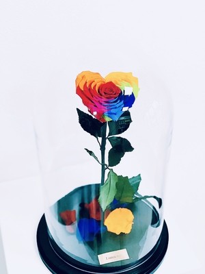 Enchanted Heart Rose