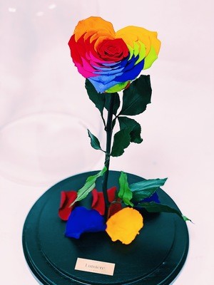 Enchanted Heart Rose
