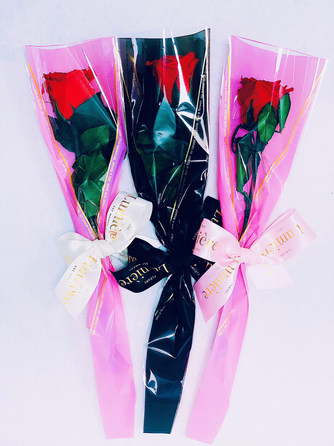 Single Everlasting Rose Wrapped