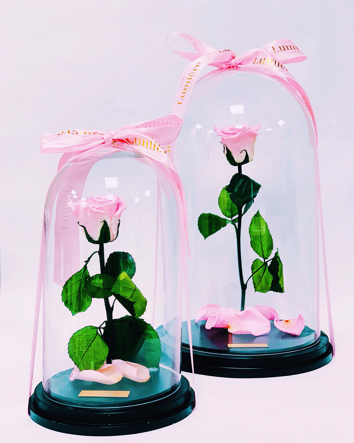 Mini Enchanted