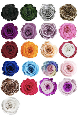 Single Everlasting Rose Wrapped