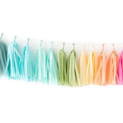 Rainbow Tissue Tassel Kit Rainbow Tissue Tassel Kit