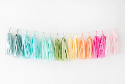 Rainbow Tissue Tassel Kit