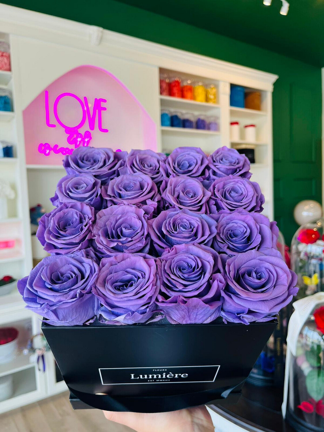 Antoine (everlasting) Antoine (everlasting)