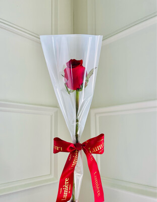 Single Fresh Rose Wrapped Single Fresh Rose Wrapped