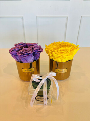 Gold Vase Small (everlasting)