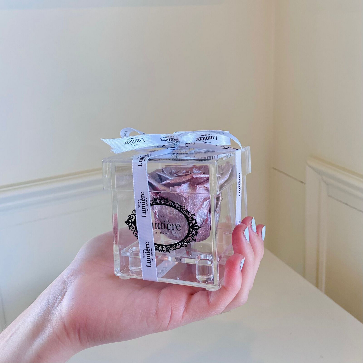 Mini Clair Mini Clair