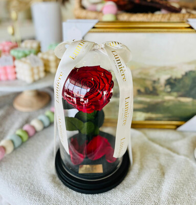 Mini Enchanted XXL Rose