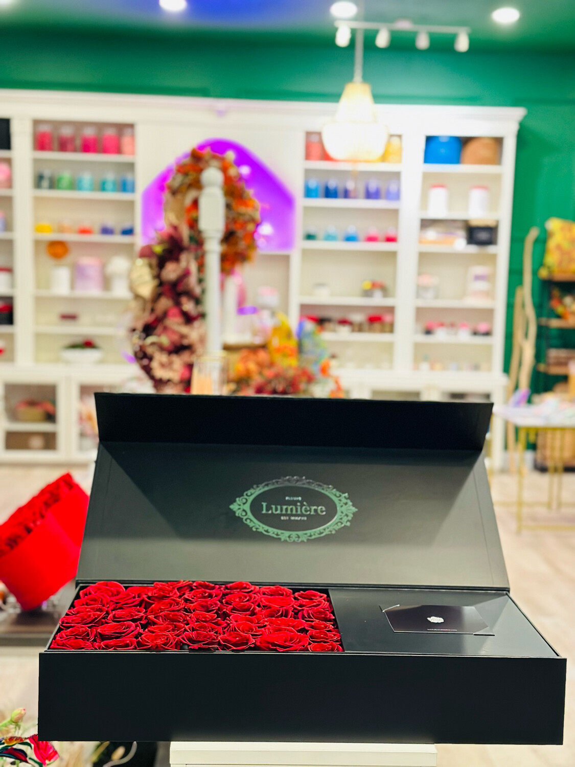 Hamilton (everlasting)