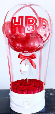 Hot Air Balloon ONLY Hot Air Balloon ONLY