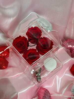 Clair Box Squared (everlasting) Clair Box Squared (everlasting)