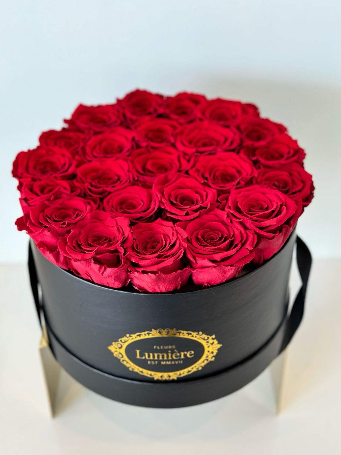 Marie Antoinette (everlasting)