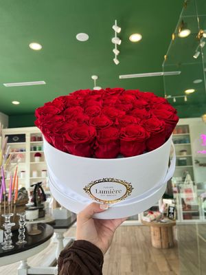 Napoleon (everlasting) Napoleon (everlasting)