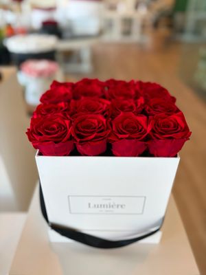 Antoine (everlasting) Antoine (everlasting)