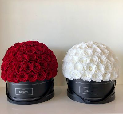 Napoleon Sphere (Everlasting)