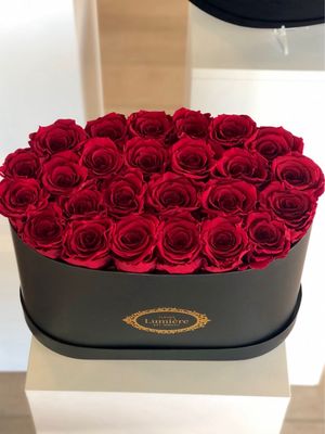 Celine Oval Box (Everlasting)